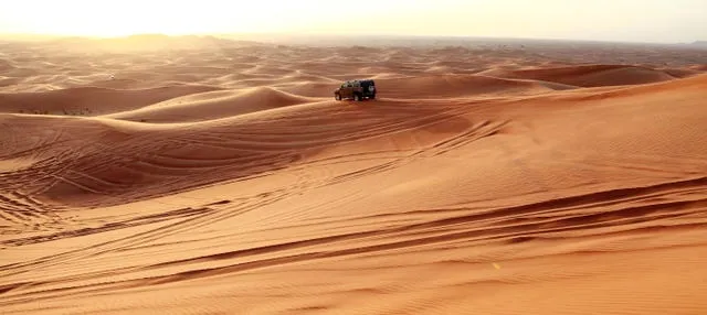 Desert Safari con cena y espectáculo